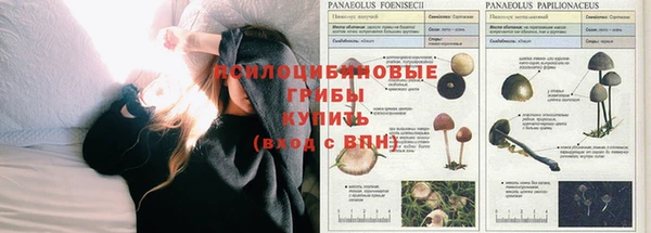 шишки Баксан