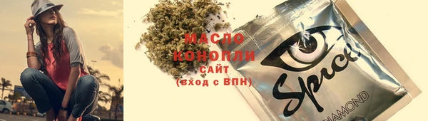 шишки Баксан