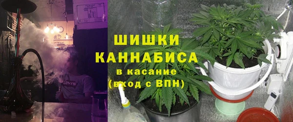 PSILOCYBIN Балабаново