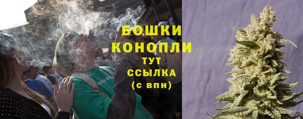 PSILOCYBIN Балабаново