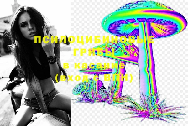 шишки Баксан