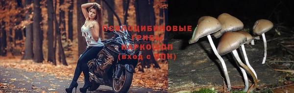 не бодяженный Балахна