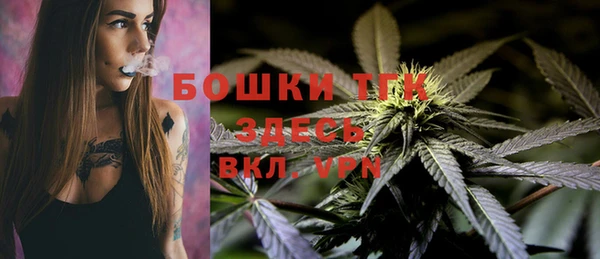 шишки Баксан