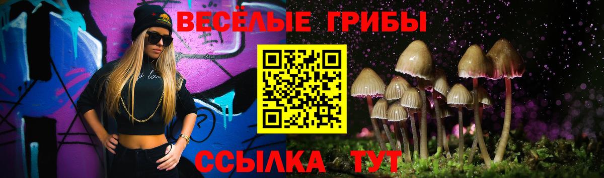Псилоцибиновые грибы Magic Shrooms  Вход с VPN  Белогорск  где купить наркоту  Псилоцибиновые грибы MAGIC MUSHROOMS 